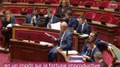 Fortune improductive la France ajuste sa fiscalité du patrimoine