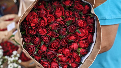 Pour la Saint Valentin 2026 en France, offrir des fleurs locales devient un vrai geste d’amour pour la planète